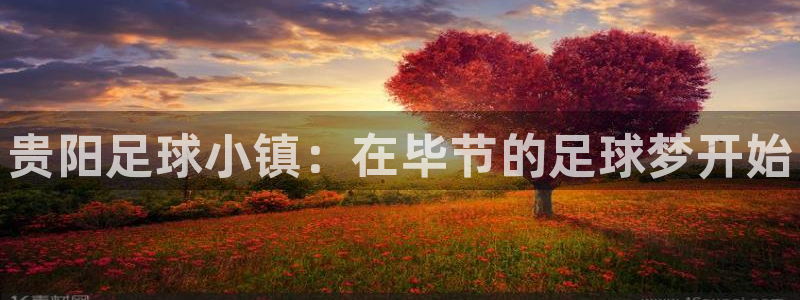 米兰体育官方正版app科技：贵阳足球小镇：在毕节的足