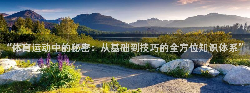 米兰体育官方正版app集团官网首页：“体育运动中的秘