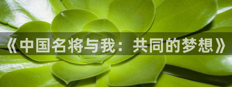 米兰体育官网下载平台是正规平台吗知乎：《中国名将与我