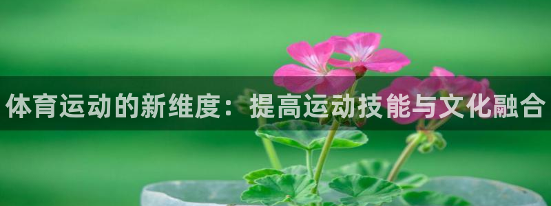 米兰体育官网下载招商电话号码查询是多少：体育运动的新