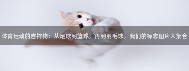 米兰体育官网下载平台是正规平台吗知乎：体育运动的吉祥