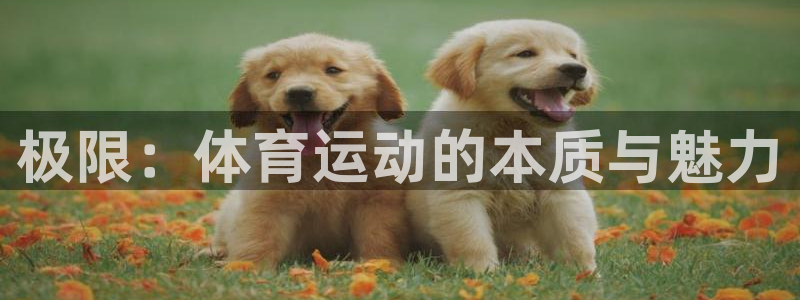 米兰体育官网下载是干嘛的公司：极限：体育运动的本质与魅力