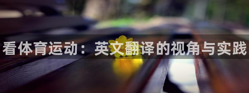 米兰体育官方正版app娱乐首页网站大全：看体育运动：