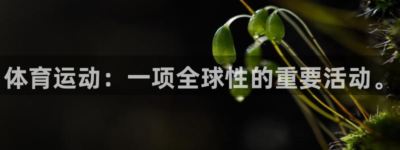米兰体育官网下载平台注册要钱吗是真的吗：体育运动：一