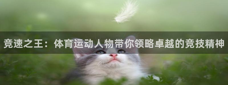 米兰体育官方正版app集团官网首页网址：竞速之王：体