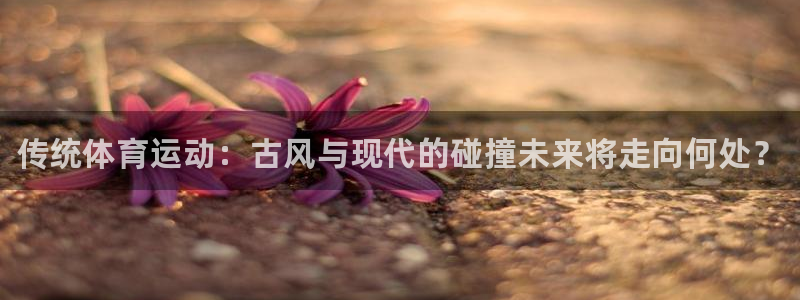 米兰体育官网下载招商：传统体育运动：古风与现代的碰撞未来将走