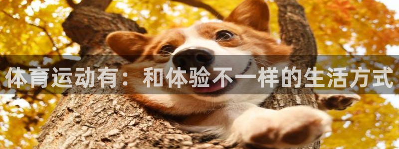 米兰体育官网下载招商电话号码是多少：体育运动有：和体