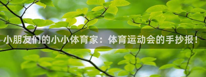 米兰体育官网下载平台注册流程图：小朋友们的小小体育家：体育运