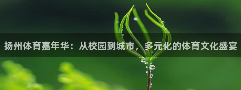 米兰体育官方正版app娱乐是那个系列的台子：扬州体育