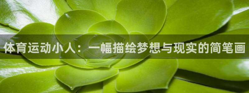 米兰体育官网下载平台注册流程图：体育运动小人：一幅描绘梦想与