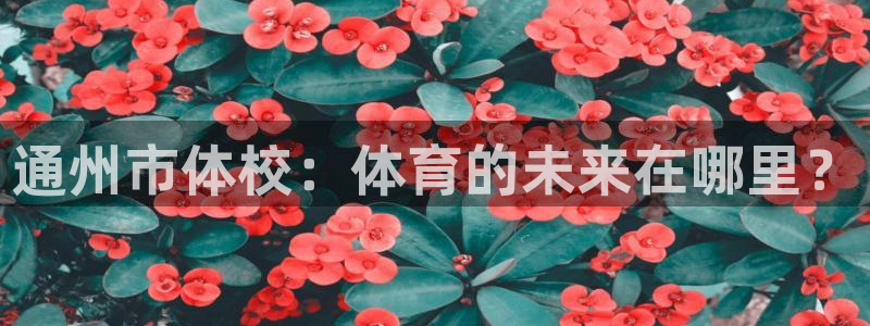 米兰体育官网下载联系电话：通州市体校：体育的未来在哪里？