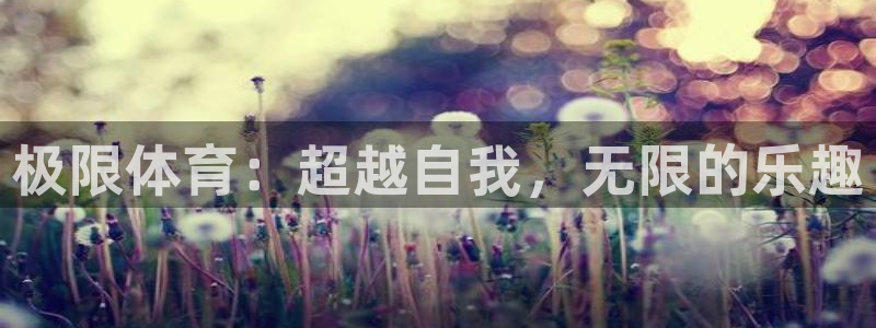 米兰体育官方正版app集团简介：极限体育：超越自我，