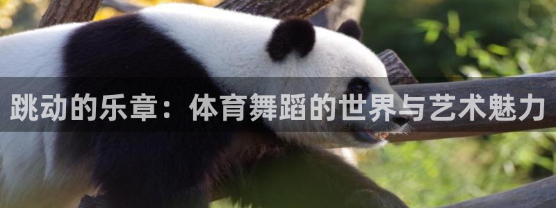 米兰体育官网下载招商电话号码是多少：跳动的乐章：体育舞蹈的世