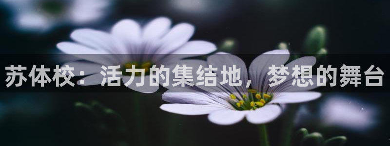 米兰体育官网下载招商电话地址是多少：苏体校：活力的集结地，梦