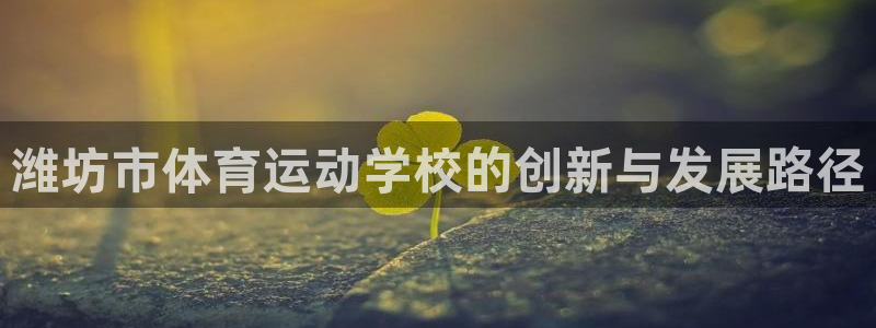海南米兰体育官网下载：潍坊市体育运动学校的创新与发展路径