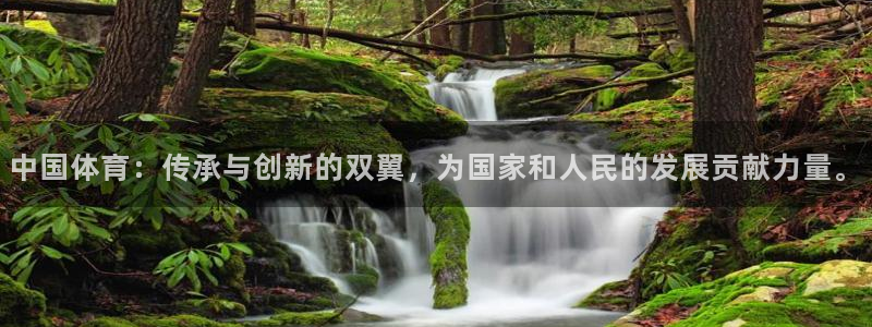 米兰体育官网下载平台注册流程图：中国体育：传承与创新的双翼，