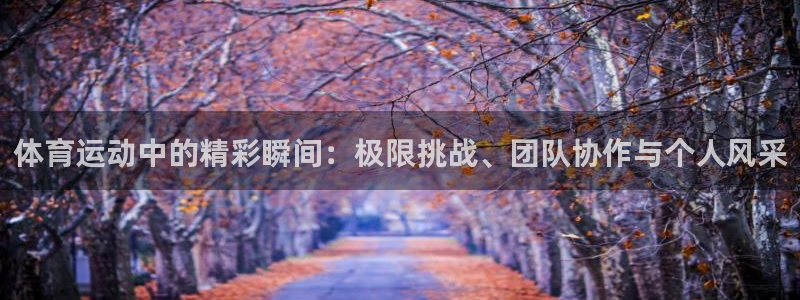 米兰体育官方正版app集团logo：体育运动中的精彩