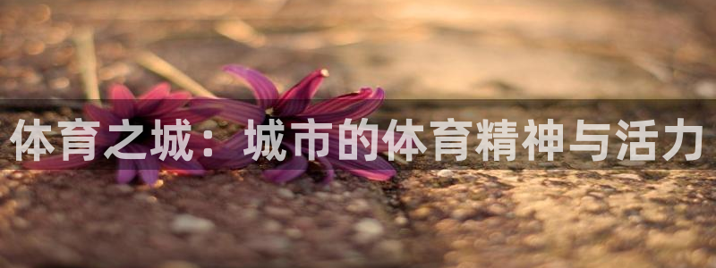 米兰体育官方正版app集团：体育之城：城市的体育精神与活力