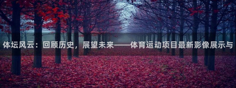 米兰体育官方正版app集团官网网址