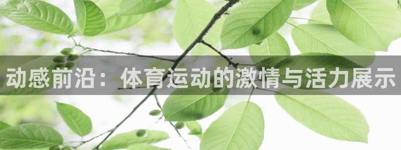 米兰体育官方正版app集团官网网址：动感前沿：体育运动的激情
